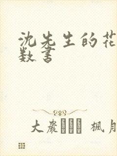 沈先生的花式调数书