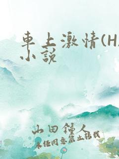 车上激情(H)小说