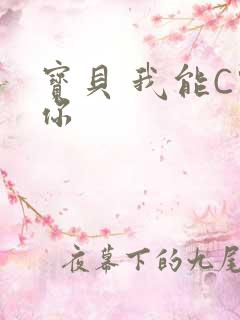 宝贝 我能C哭你