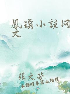 凤瑶小说网高辣文