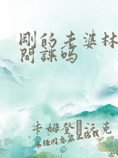 刚的老婆林彦是间谍吗