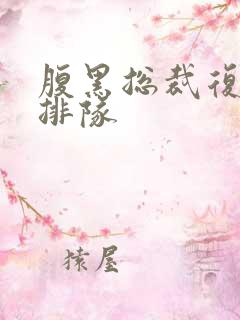 腹黑总裁复婚请排队