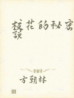 校花的秘密 小说