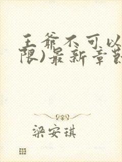 王爷不可以!(限)最新章节