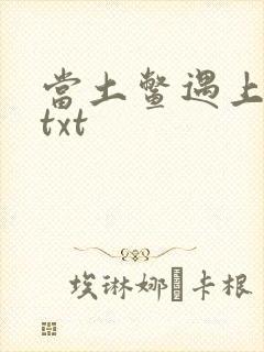 当土鳖遇上海龟txt