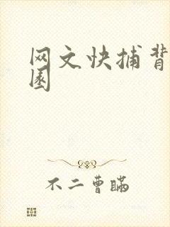 网文快捕背影家园