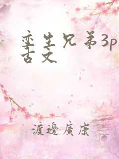 孪生兄弟3ph古文