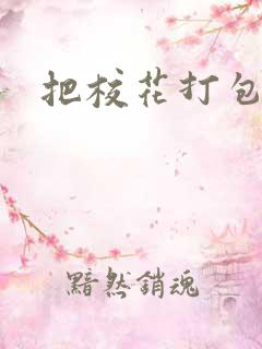 把校花打包带走