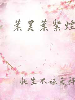 叶昊叶紫烟小说