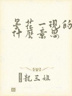 昙花一现的现是什么意思