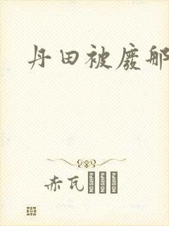 丹田被废那些年