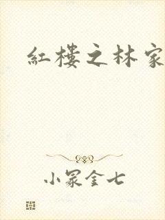 红楼之林家宗主