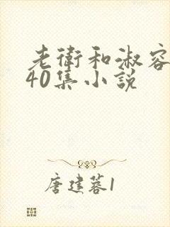 老卫和淑容1-40集小说