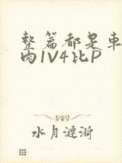 整篇都是车的多肉1V4比P