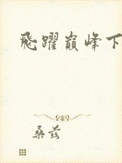 飞跃巅峰下载