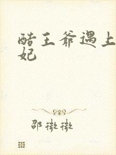 酷王爷遇上穿越妃