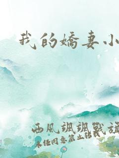 我的娇妻小说