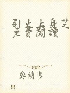 引火上身芝麻糖免费阅读