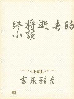 终将逝去的青春小说