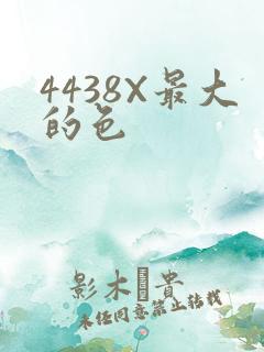 4438X最大的色