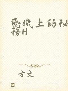 飞机上的秘密服务H