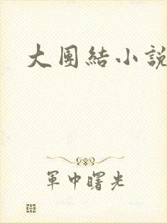 大团结小说全文