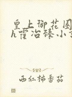 皇上御花园Hlh霍冶臻小说