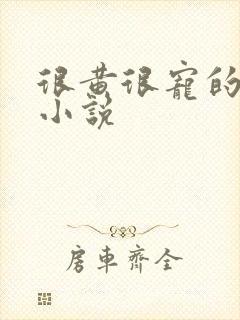 很黄很宠的总裁小说