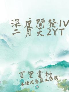 深度开发1V3二月天2YT