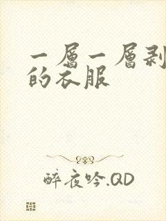 一层一层剥开你的衣服