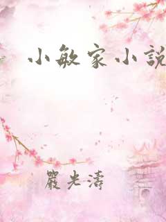 小敏家小说