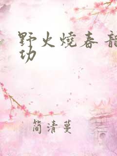 野火烧春 龙鸣功