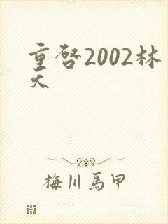重启2002林天