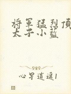 将军猛烈顶弄h太子小蓝