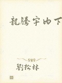 龙腾宇内下载