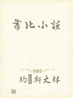 靠比小说