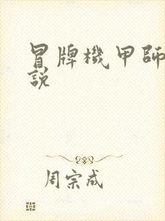 冒牌机甲师 小说