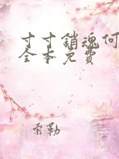 寸寸销魂何生祥全本免费