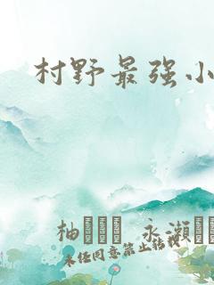 村野最强小农民