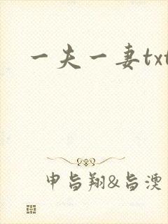 一夫一妻txt