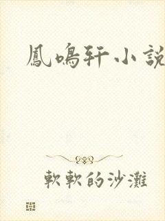 凤鸣轩小说