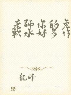 老师你的兔子好软水好多作文小说