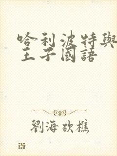 哈利波特与混血王子国语