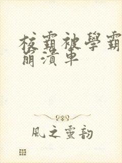 校霸被学霸玩到崩溃车