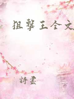 狙击王全文阅读