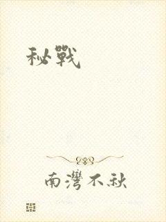 秘战