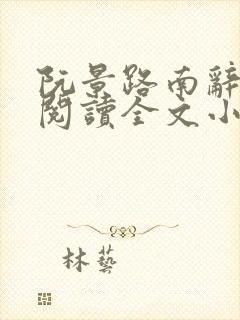 阮景路南辞免费阅读全文小说