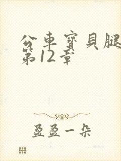 公车宝贝腿开点第12章