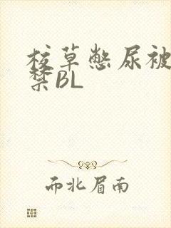 校草憋尿被揉失禁BL