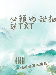 心头肉甜柚子小说TXT